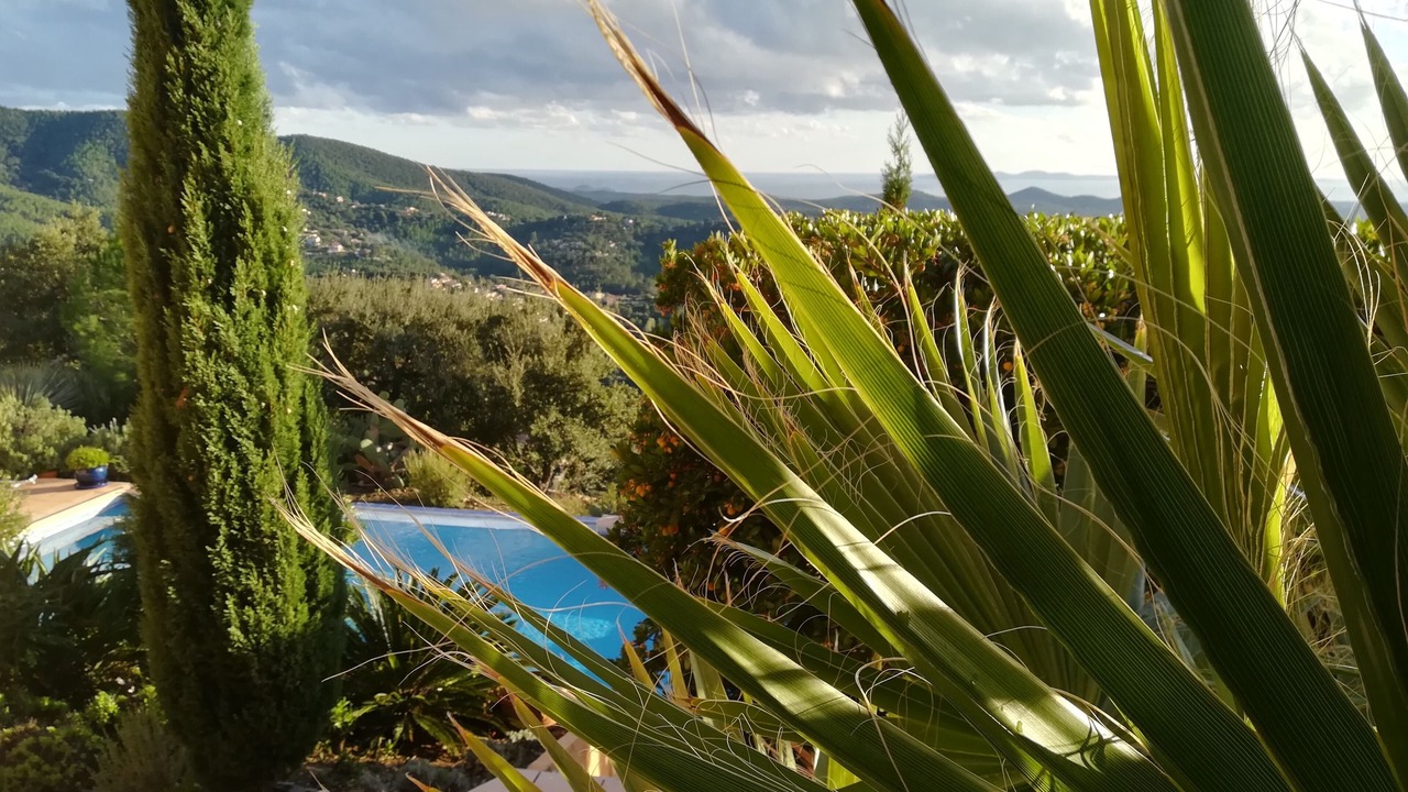 Photo of Outdoor in La Londe-les-Maures