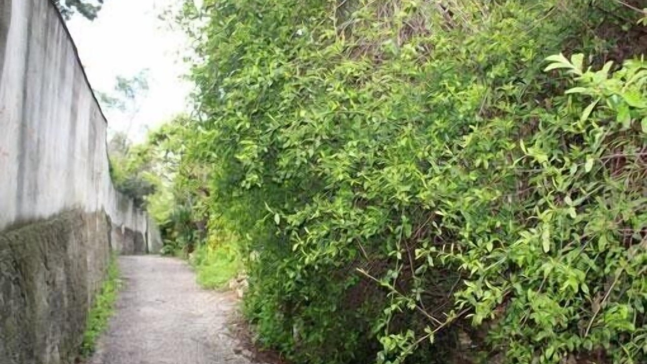 Photo of Outdoor in Roucas-Blanc
