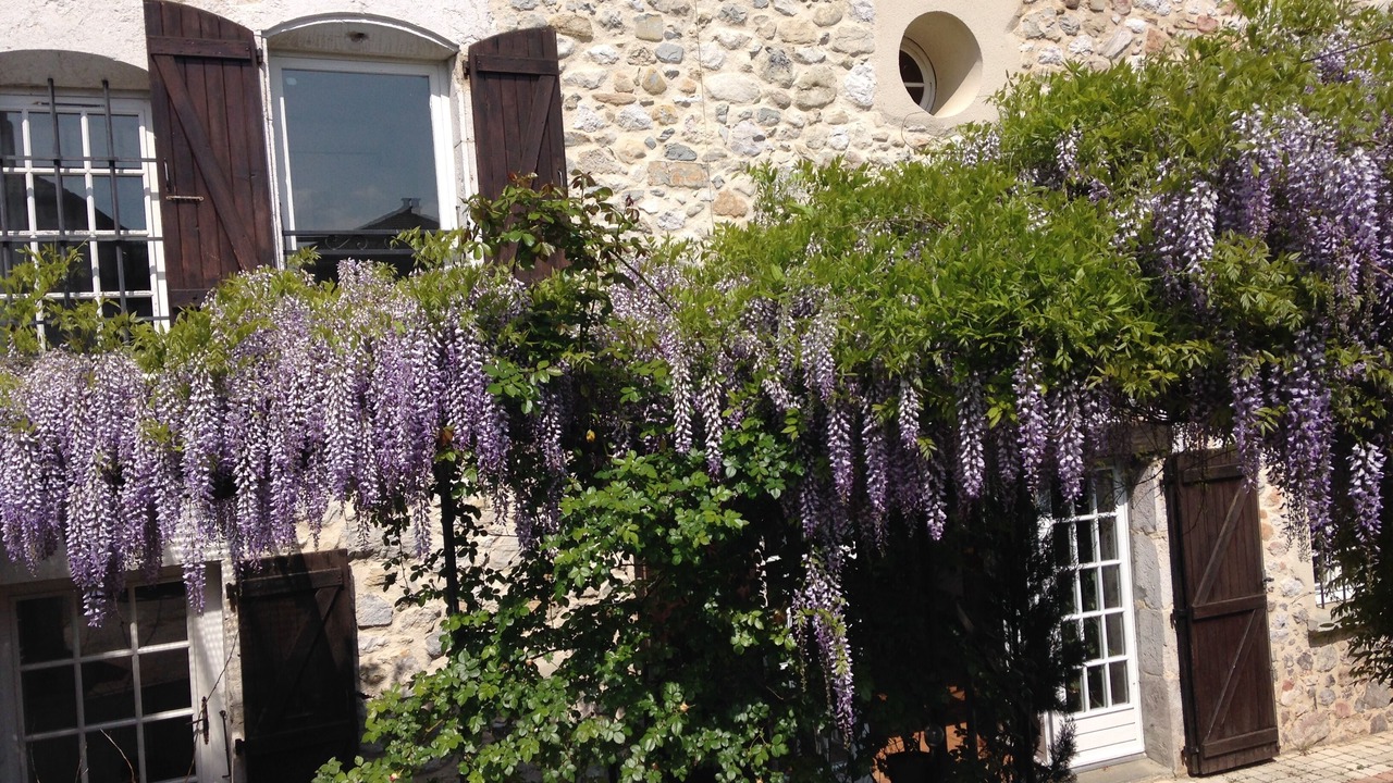 Photo of Outdoor in Saint-Vincent-de-Mercuze