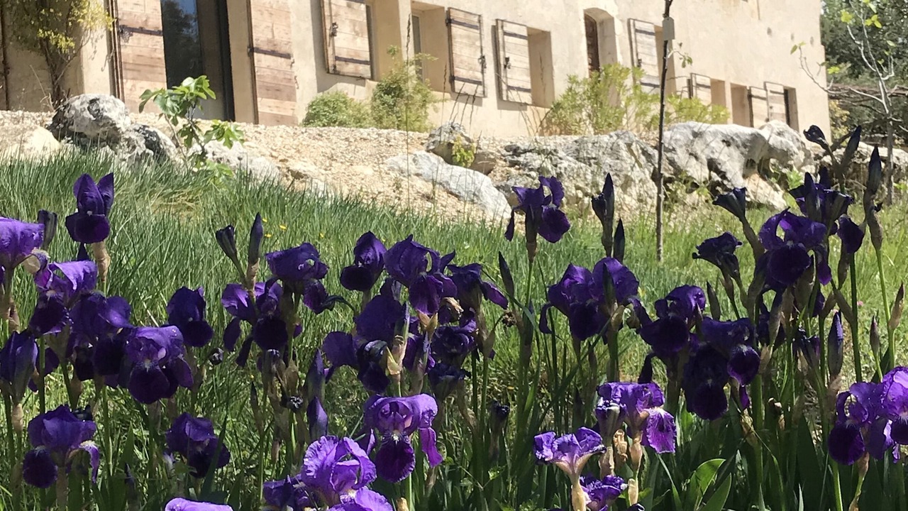 Photo of Outdoor in Saint-Saturnin-les-Apt