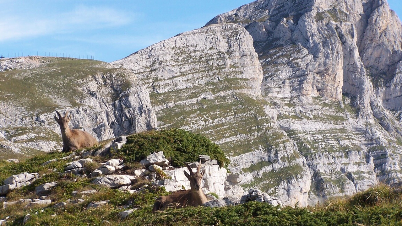 Photo of Outdoor in Villard-de-Lans