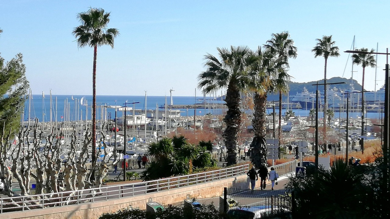 Photo of Others in La Ciotat
