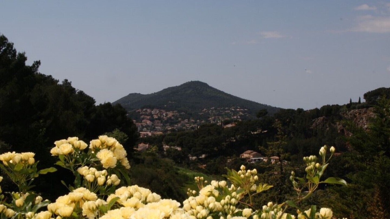 Photo of Outdoor in Carqueiranne