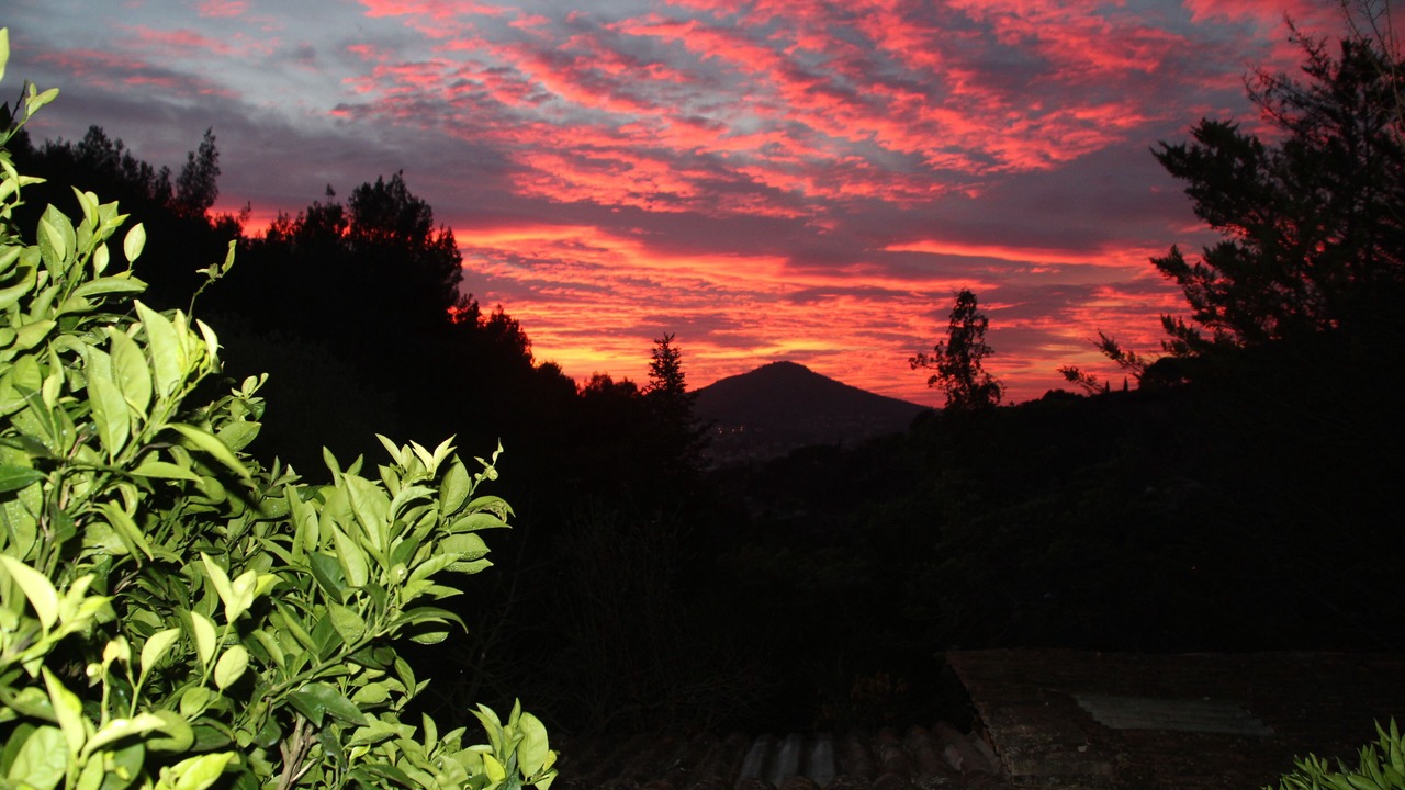 Photo of Outdoor in Carqueiranne