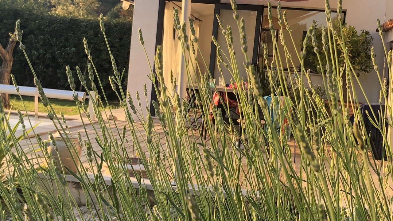 Photo of Outdoor in Rousset