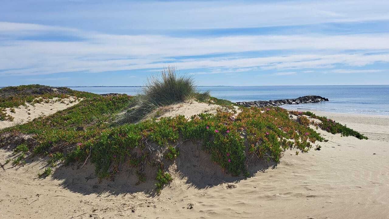 Photo of Others in Carnon-Plage