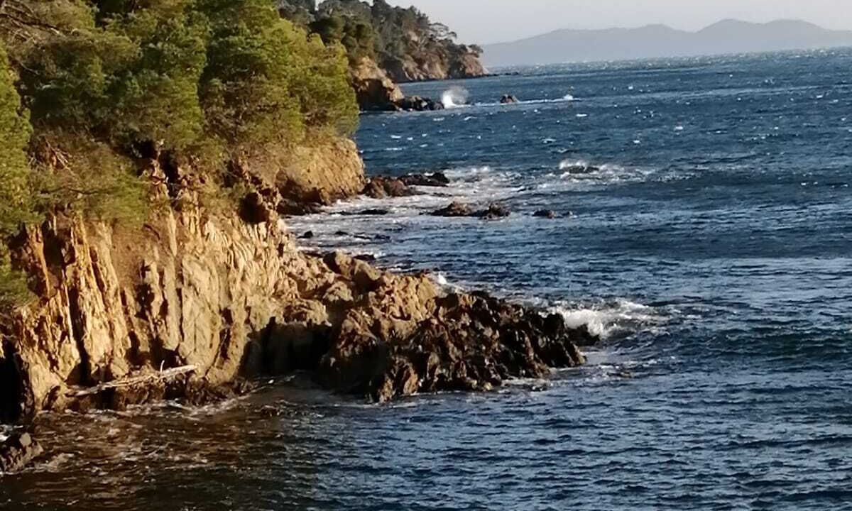 Photo of Others in La Londe-les-Maures