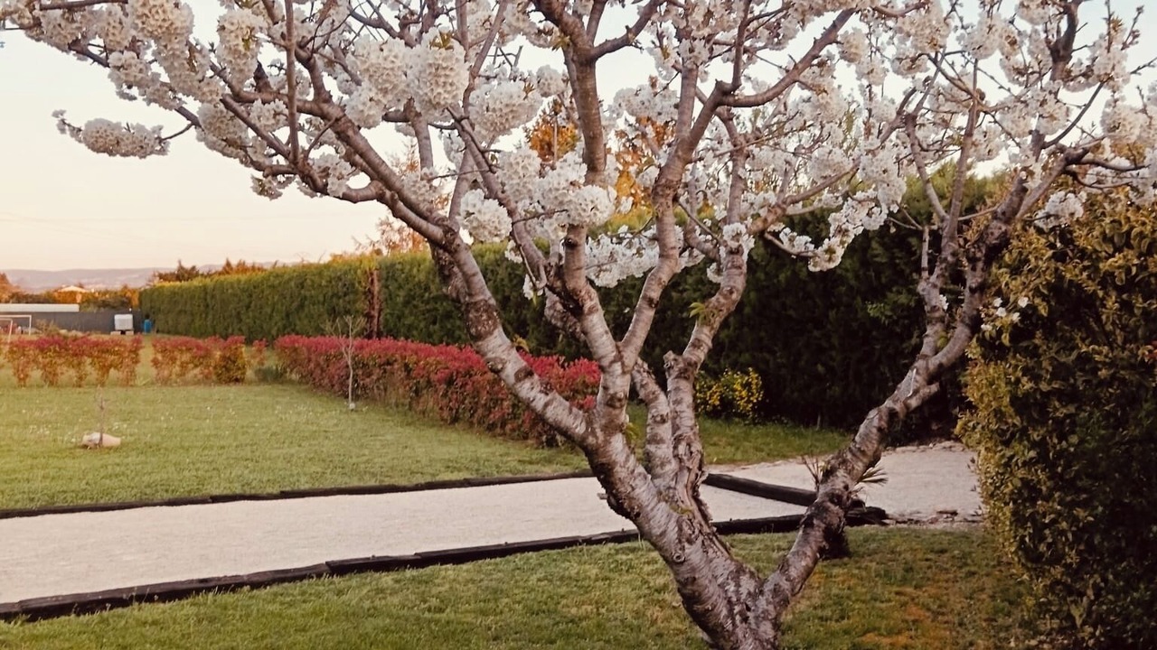 Photo of Outdoor in Carpentras
