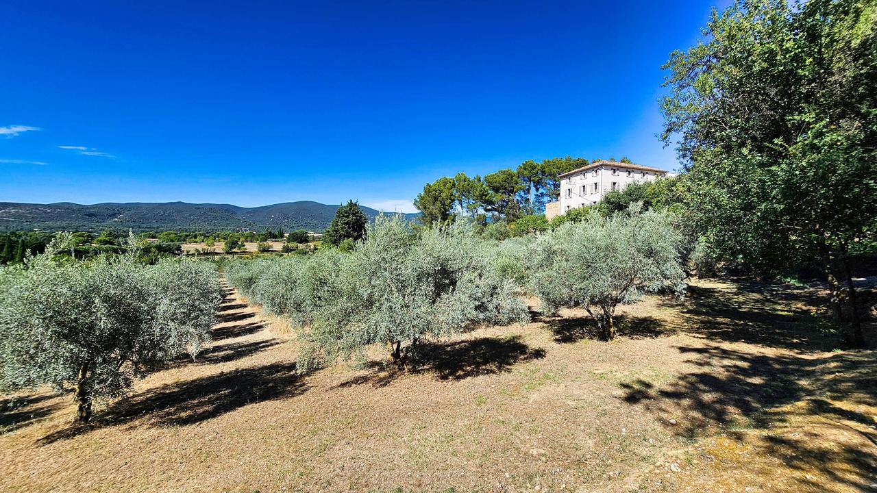 Photo of Others in Lourmarin