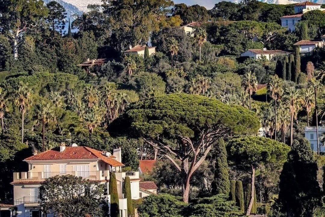 Photo of Others in Antibes