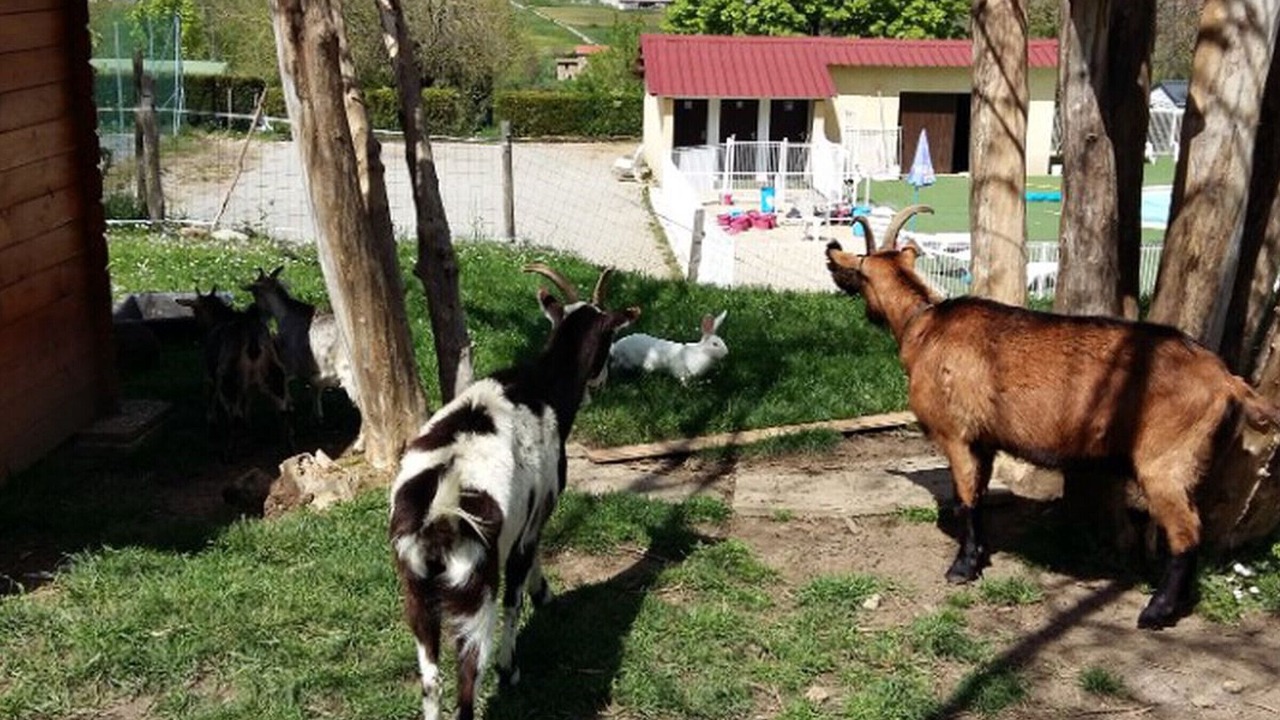 Photo of Outdoor in Le Grand Serre