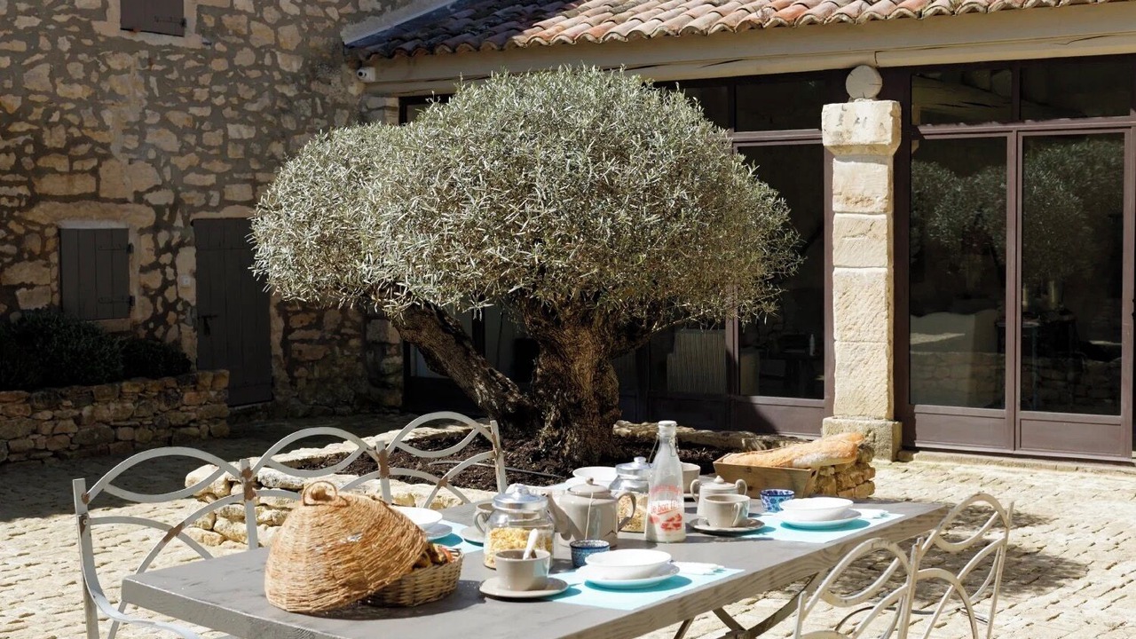 Photo of Outdoor in Lacoste