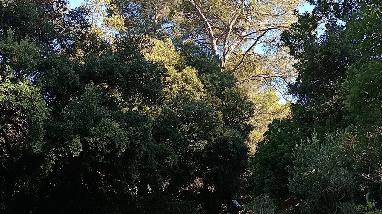 Photo of Outdoor in Saint-Marc-Jaumegarde