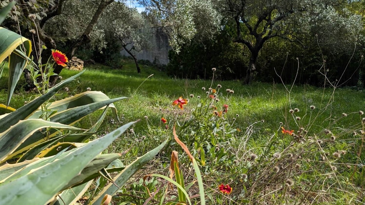 Photo of Outdoor in Uchaux