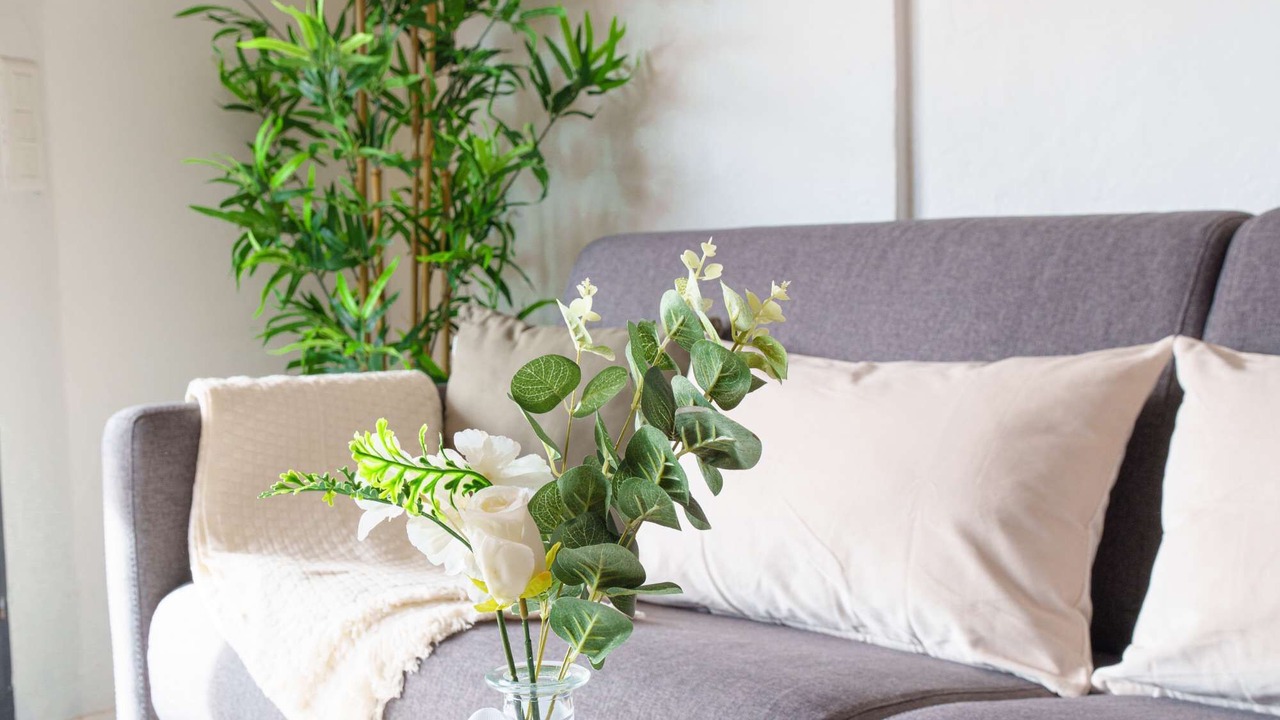 Photo of Livingroom in Saint-Jacques