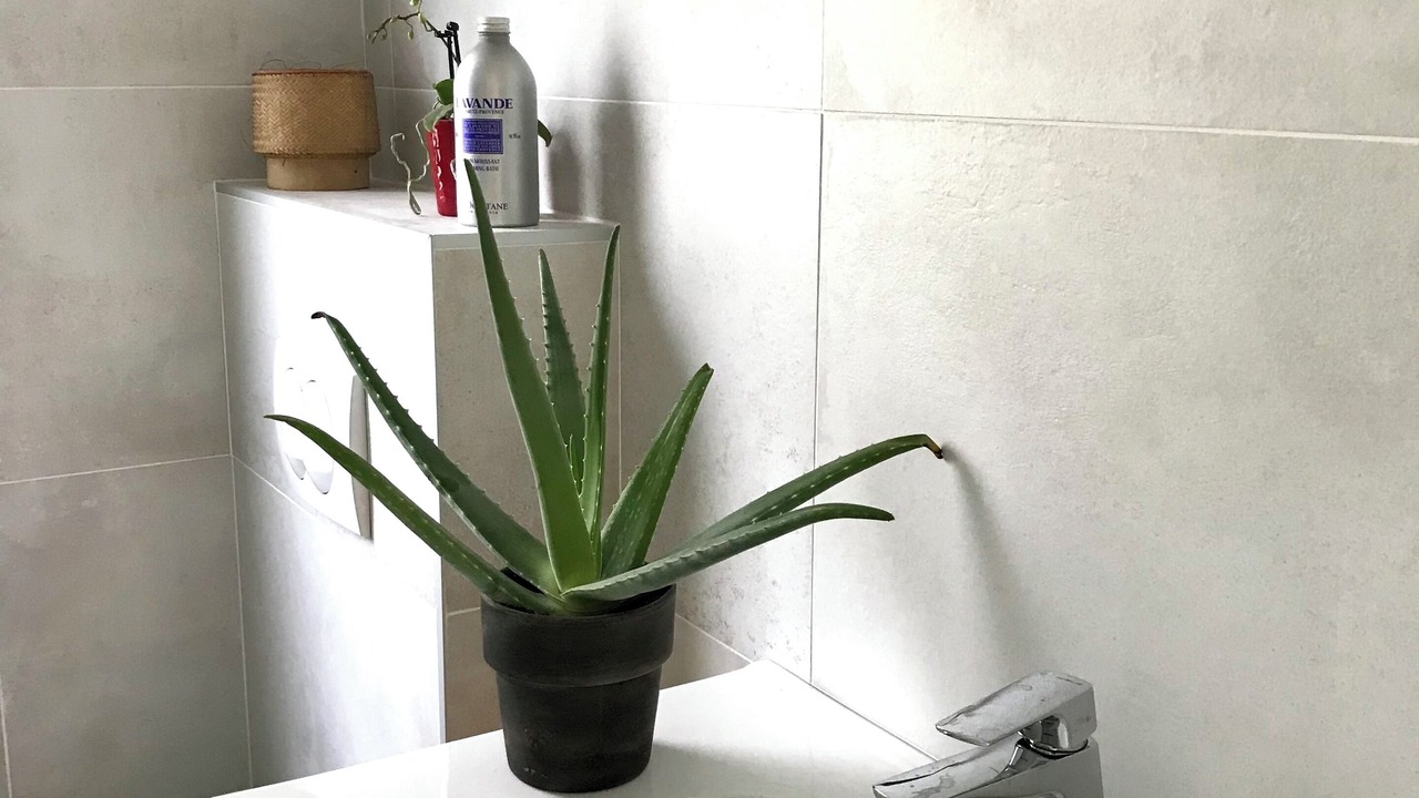 Photo of Bathroom in Saint-Jacques