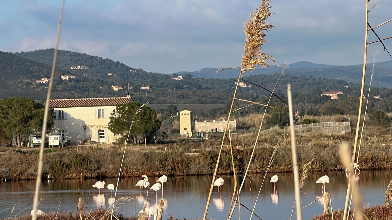 Photo of Others in Giens