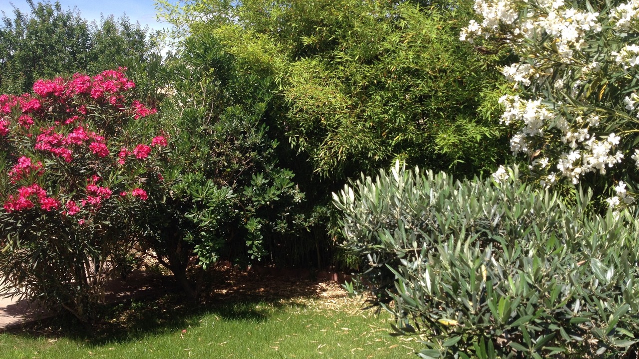 Photo of Outdoor in Fabregues