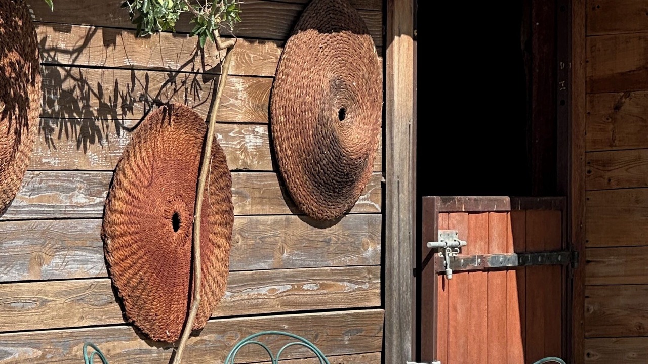 Photo of Outdoor in Vaison-la-Romaine