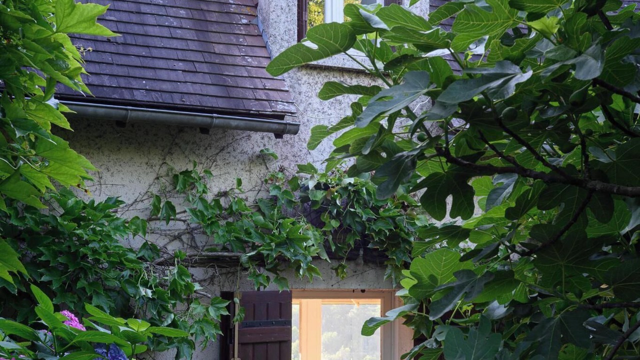 Photo of Outdoor in Ruch