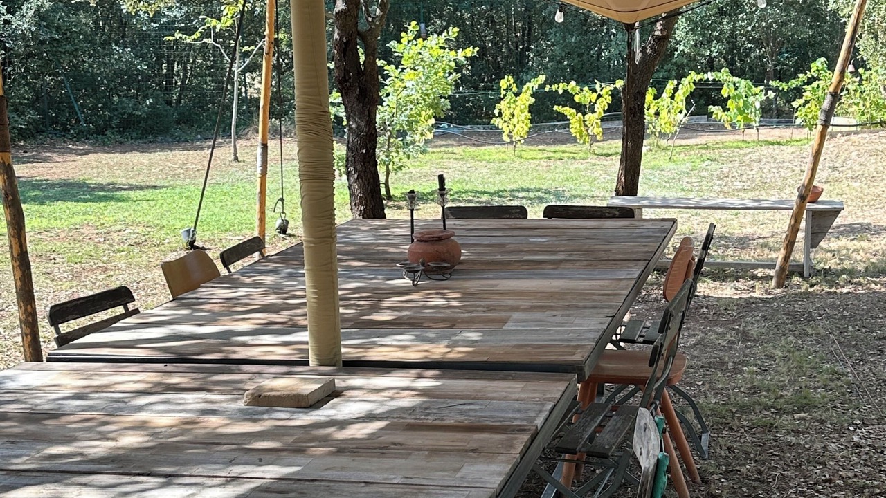 Photo of Outdoor in Saint-Cannat