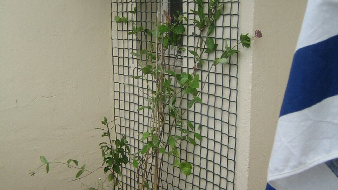 Photo of Outdoor in Le Pharo