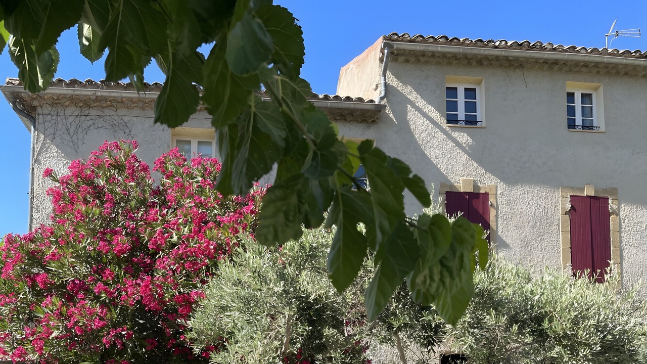 Photo of Outdoor in Violes