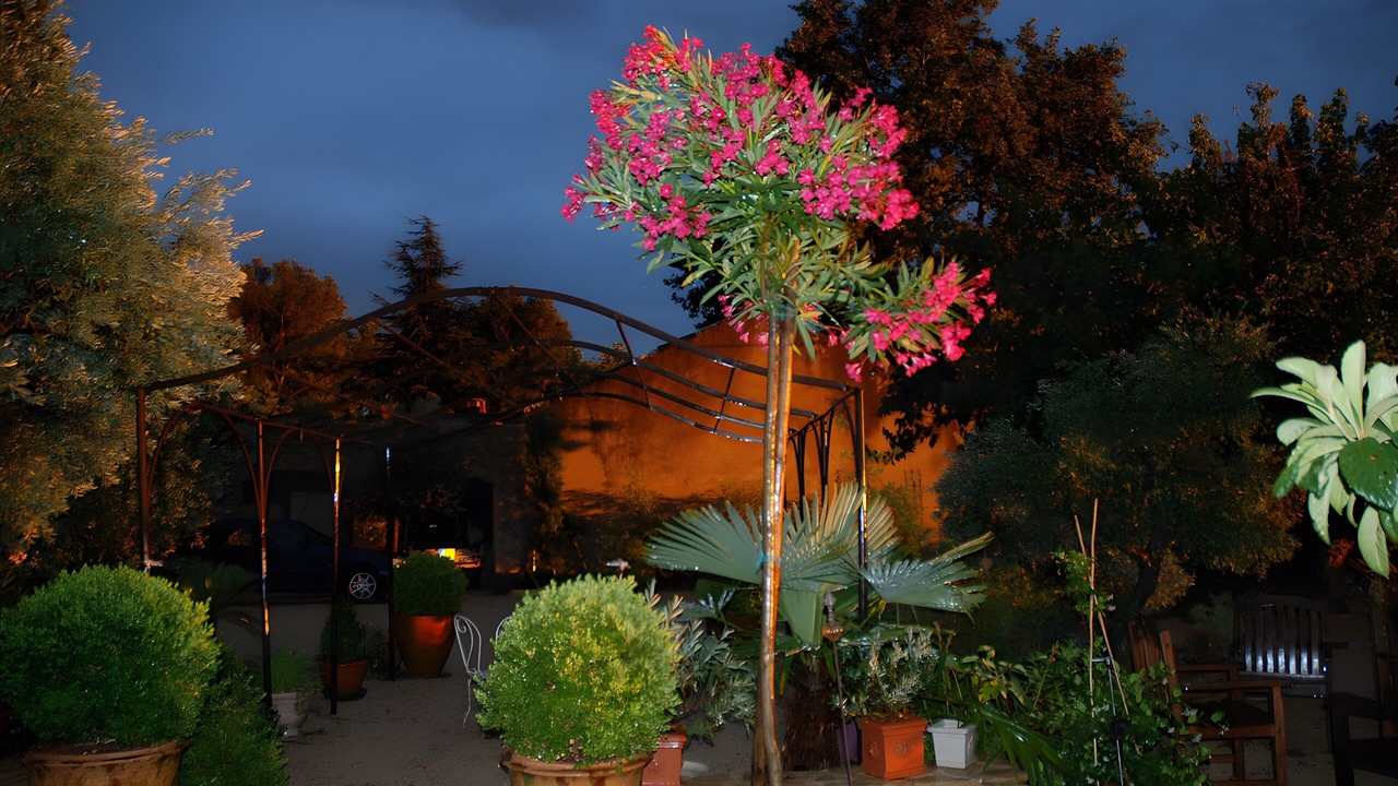 Photo of Outdoor in Violes
