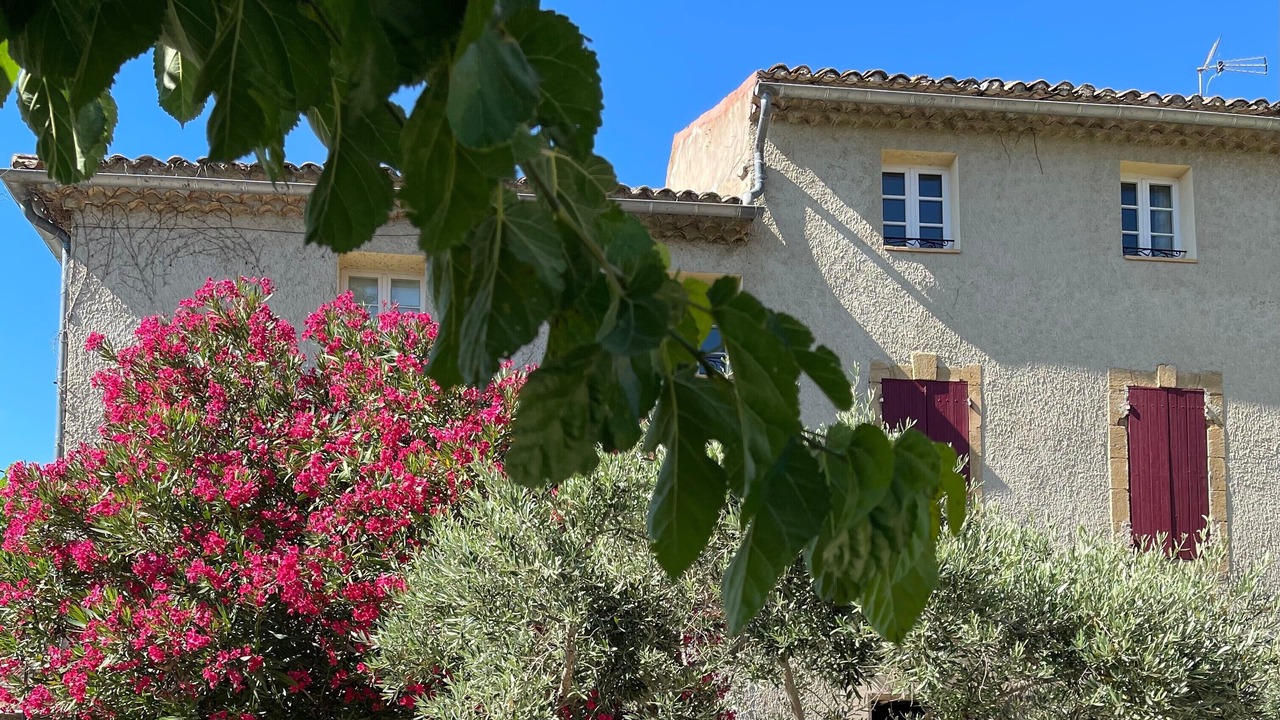 Photo of Outdoor in Violes