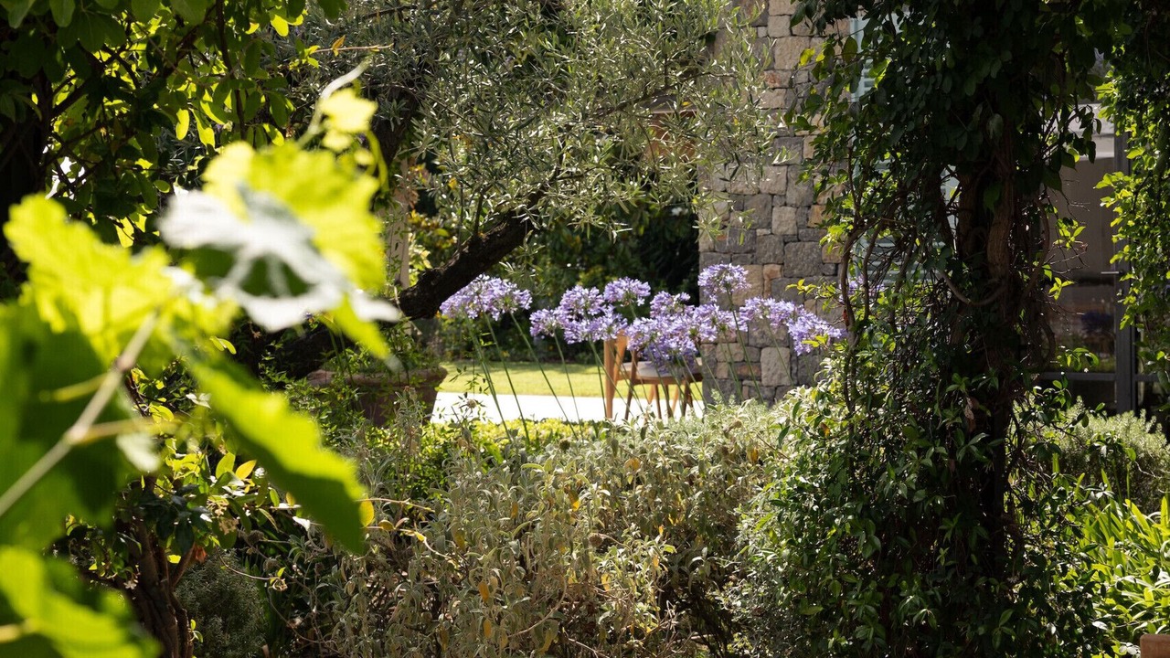 Photo of Patio Balcony in Mandelieu-La-Napoule