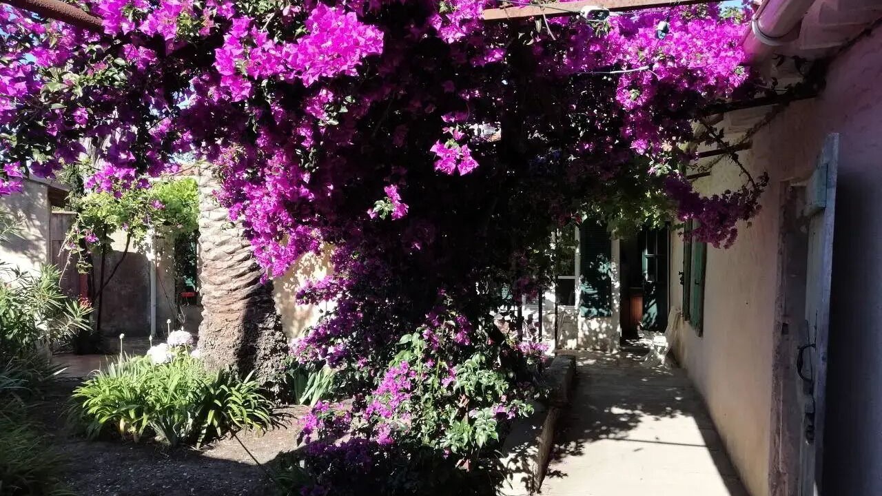 Photo of Outdoor in Porquerolles