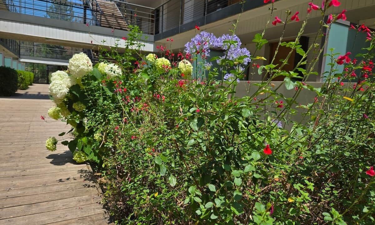 Photo of Outdoor in Eguilles