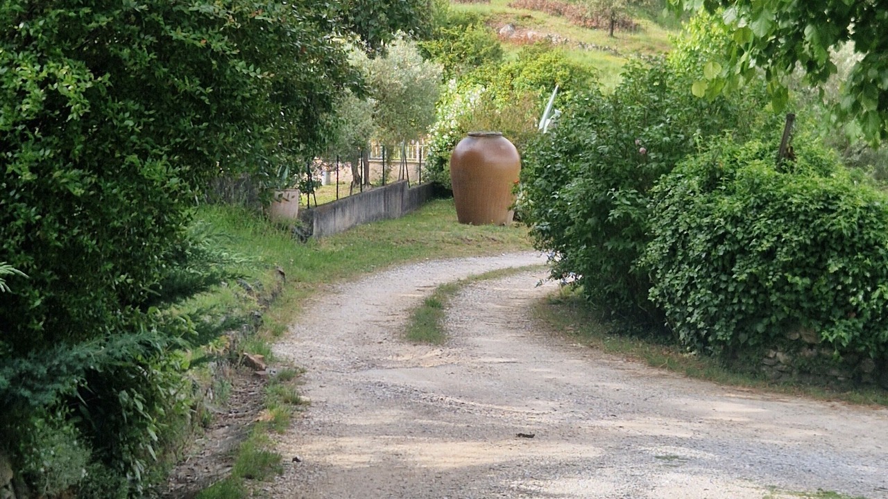 Photo of Outdoor in Saint-Privat-des-Vieux
