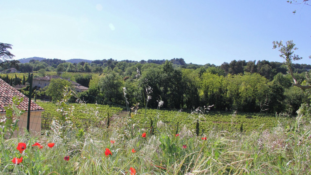 Photo of Others in Cadenet