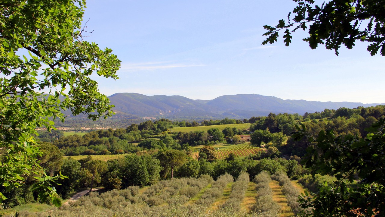 Photo of Others in Cadenet