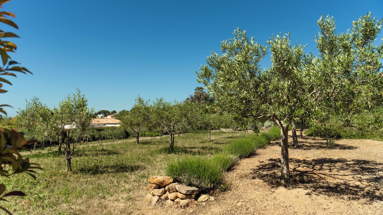 Photo of Outdoor in Carqueiranne