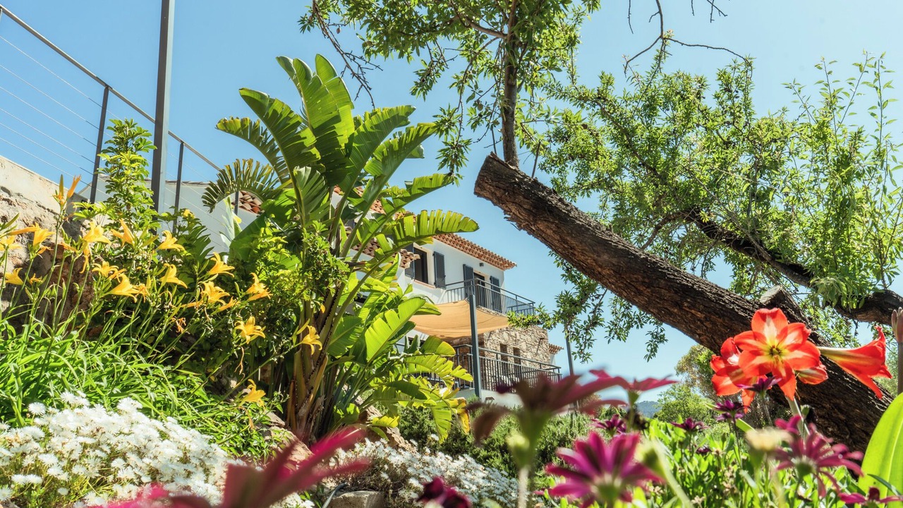 Photo of Outdoor in Carqueiranne