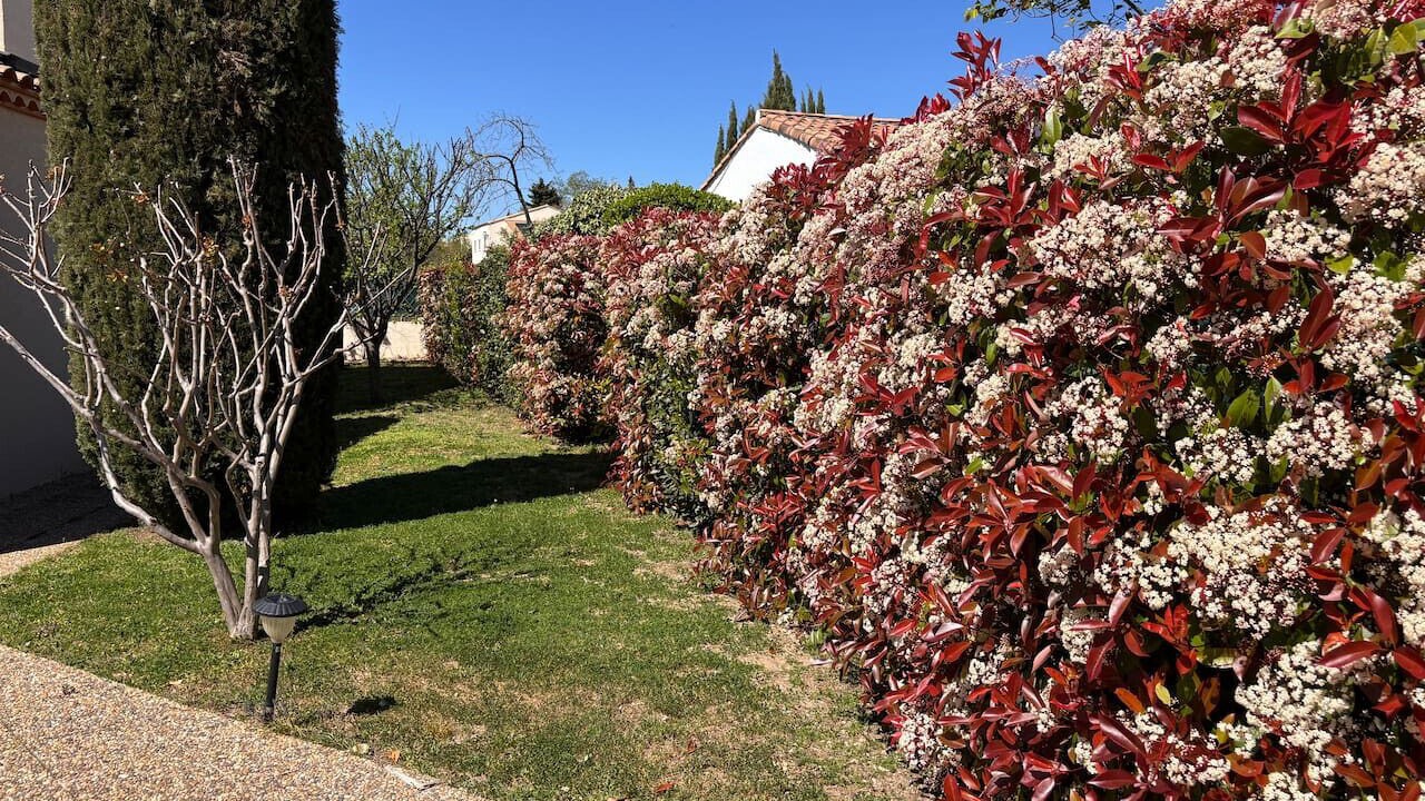 Photo of Outdoor in Castelnau-le-Lez