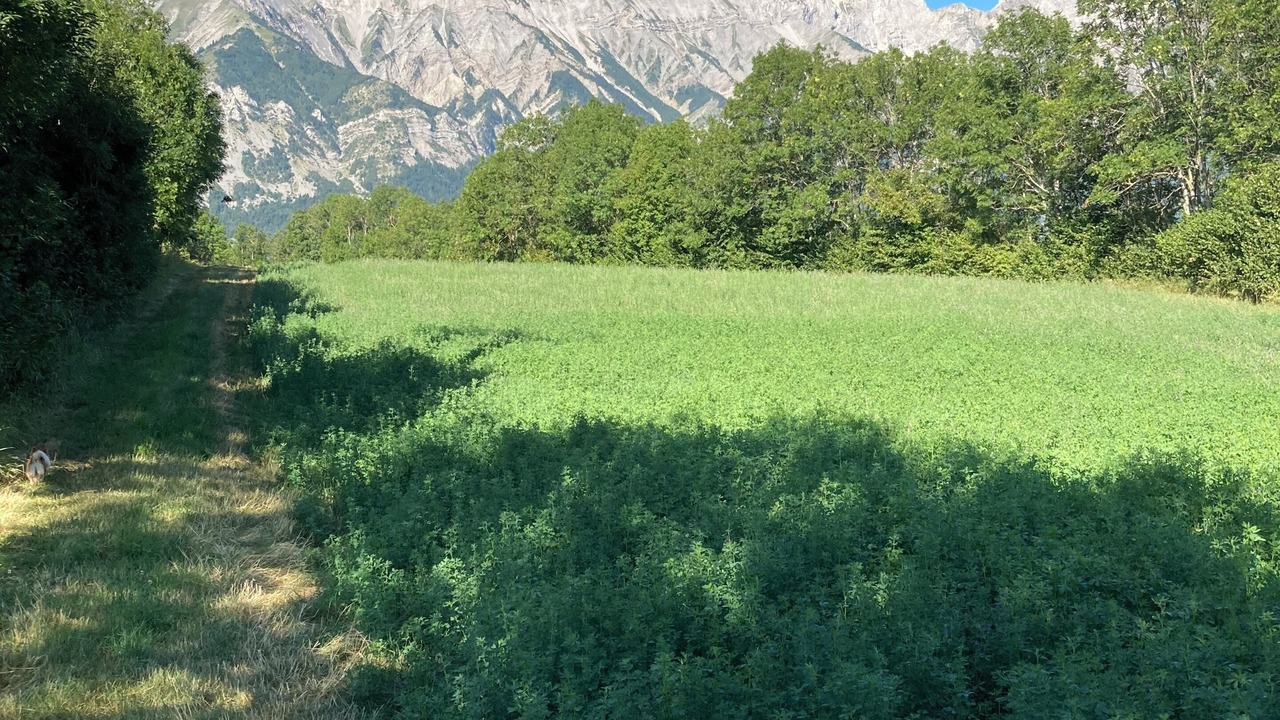 Photo of Others in Saint-Eusebe-en-Champsaur