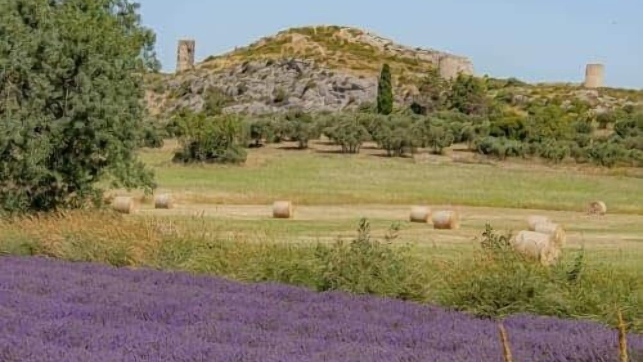 Photo of Others in Chateaurenard