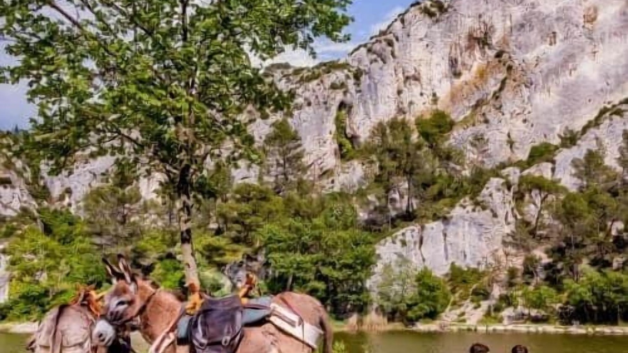 Photo of Others in Chateaurenard