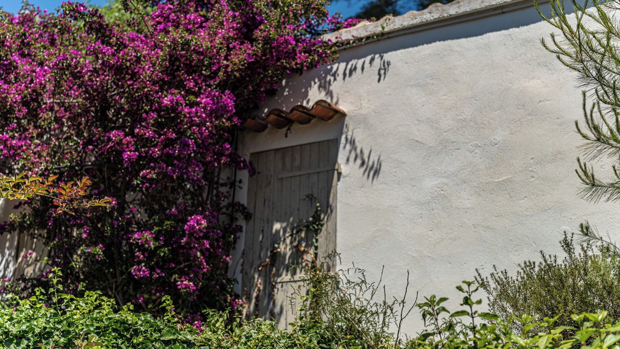 Photo of Outdoor in Carqueiranne