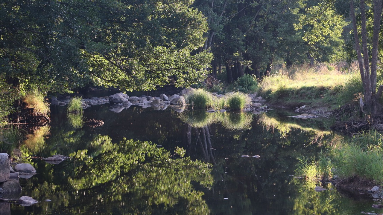 Photo of Others in Le Chambon-sur-Lignon
