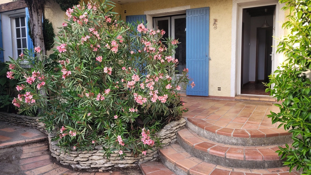 Photo of Outdoor in Montfavet