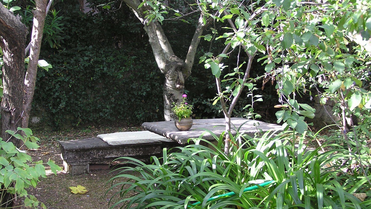 Photo of Outdoor in La Garde