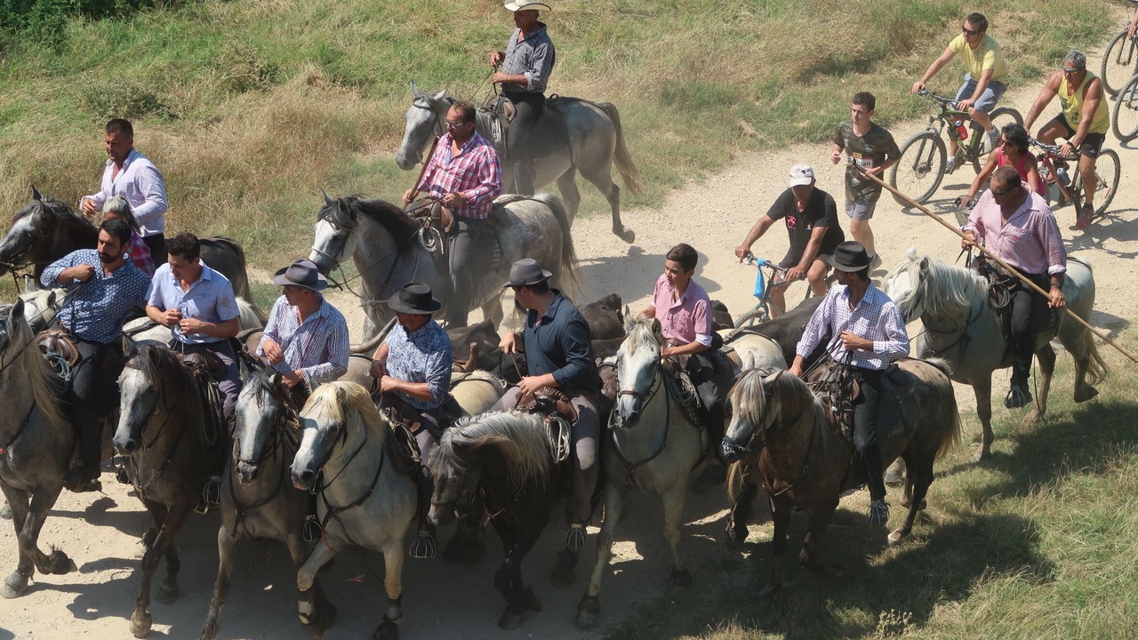 Photo of Others in Gallician