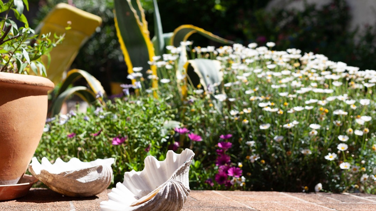 Photo of Outdoor in Les Cinq Avenues
