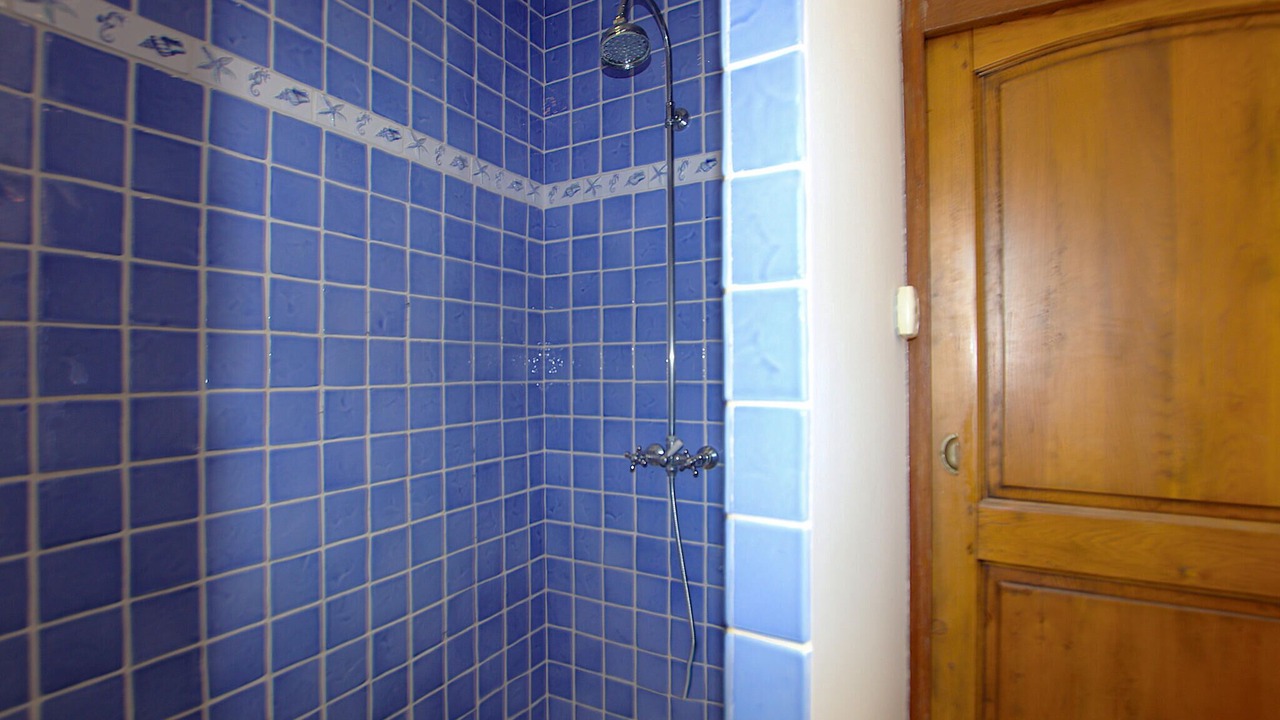 Photo of Bathroom in Giens