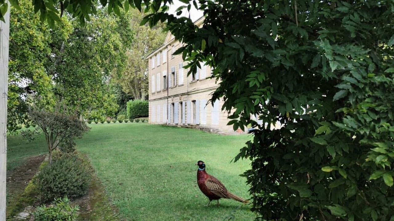 Photo of Outdoor in Hauterives