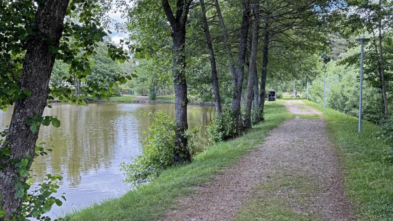 Photo of Others in Usson-en-Forez